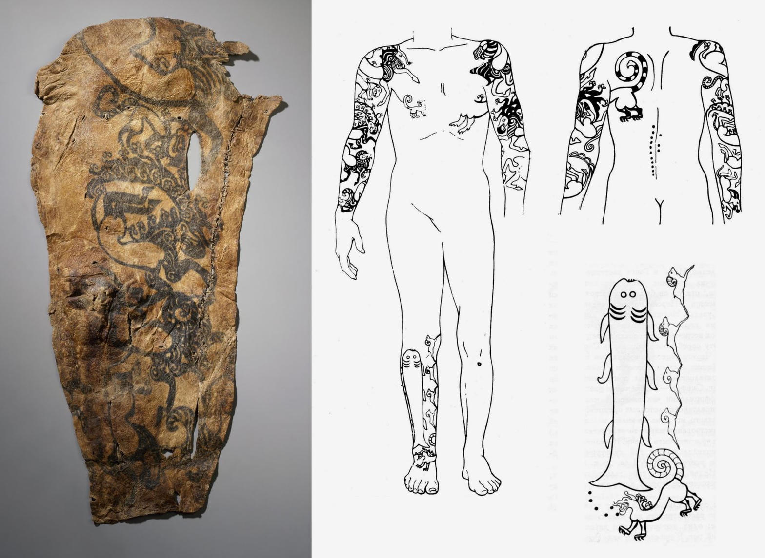 Pazyryk tattooed skin and drawings
