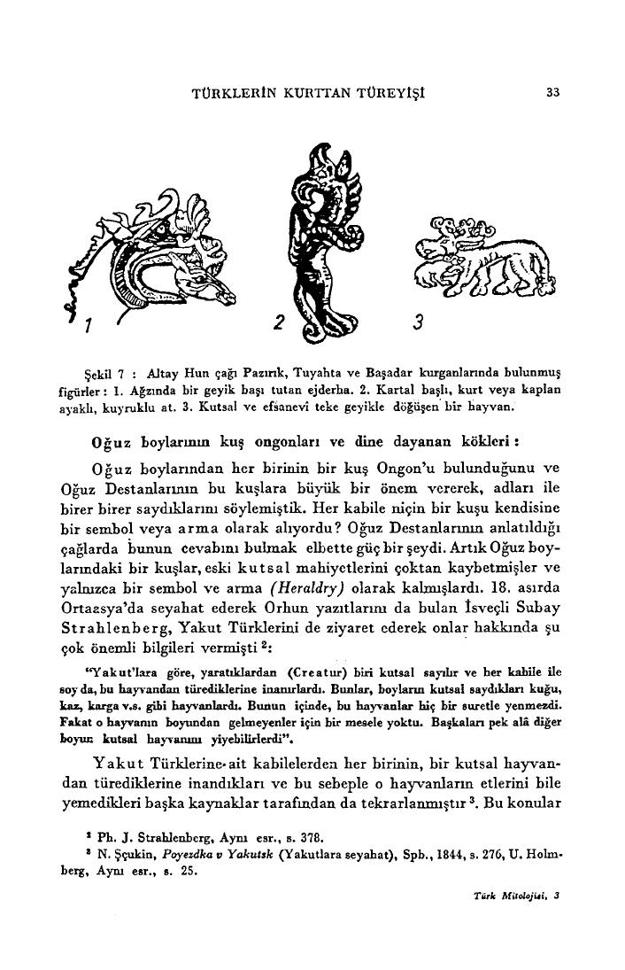 Ögel Şekil 7: Hun-age Pazyryk, Tuekta and Bashadar hybrids